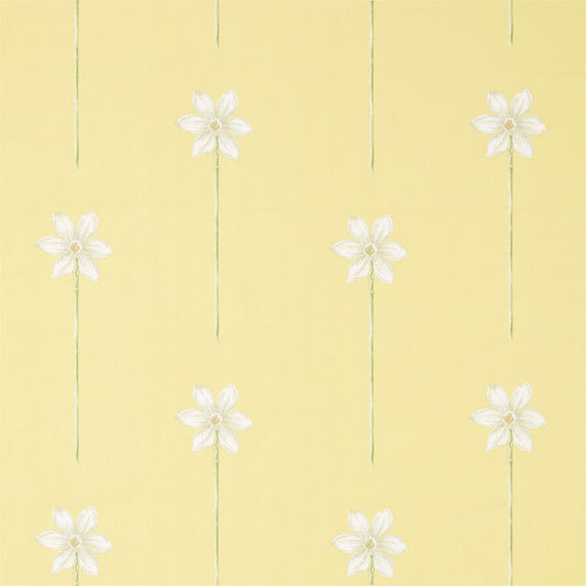 SANDERSON OUTLET Thalia  Fabric Contemporary Floral Daffodil,Natural   - DART226317