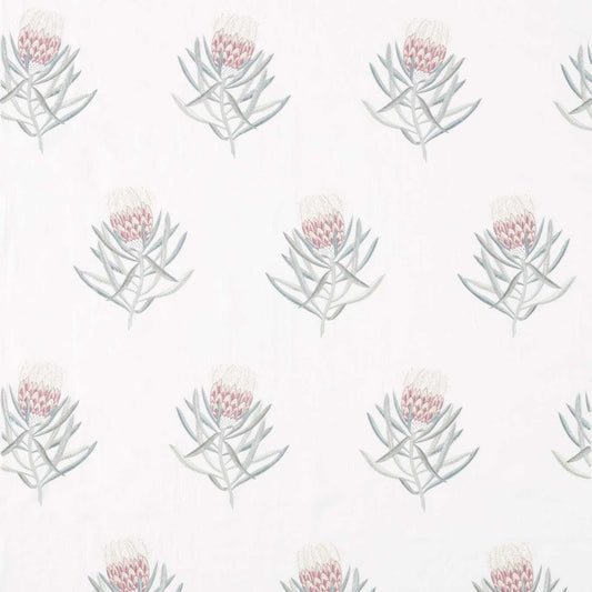 SANDERSON Protea Flower  Fabric Contemporary, Floral Porcelain,Orchid   - DART236352