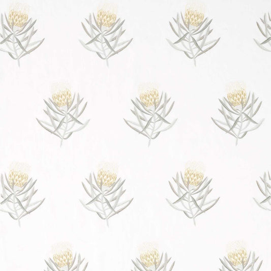 SANDERSON Protea Flower  Fabric Contemporary, Floral Daffodil,Natural   - DART236355