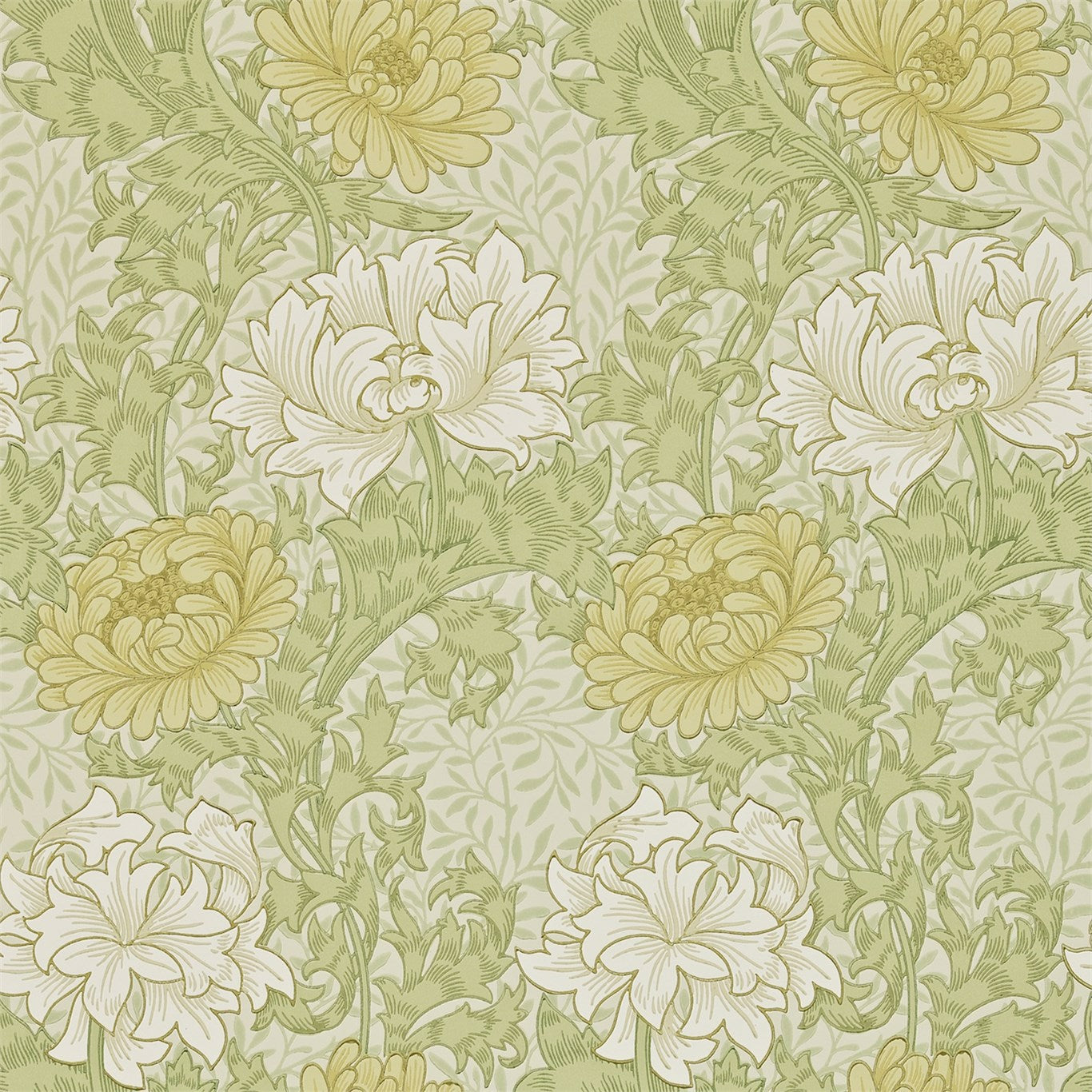 MORRIS & CO Chrysanthemum Wallpaper Contemporary, Floral Pale Olive  Surflex-Printed Wallpaper - DARW212545