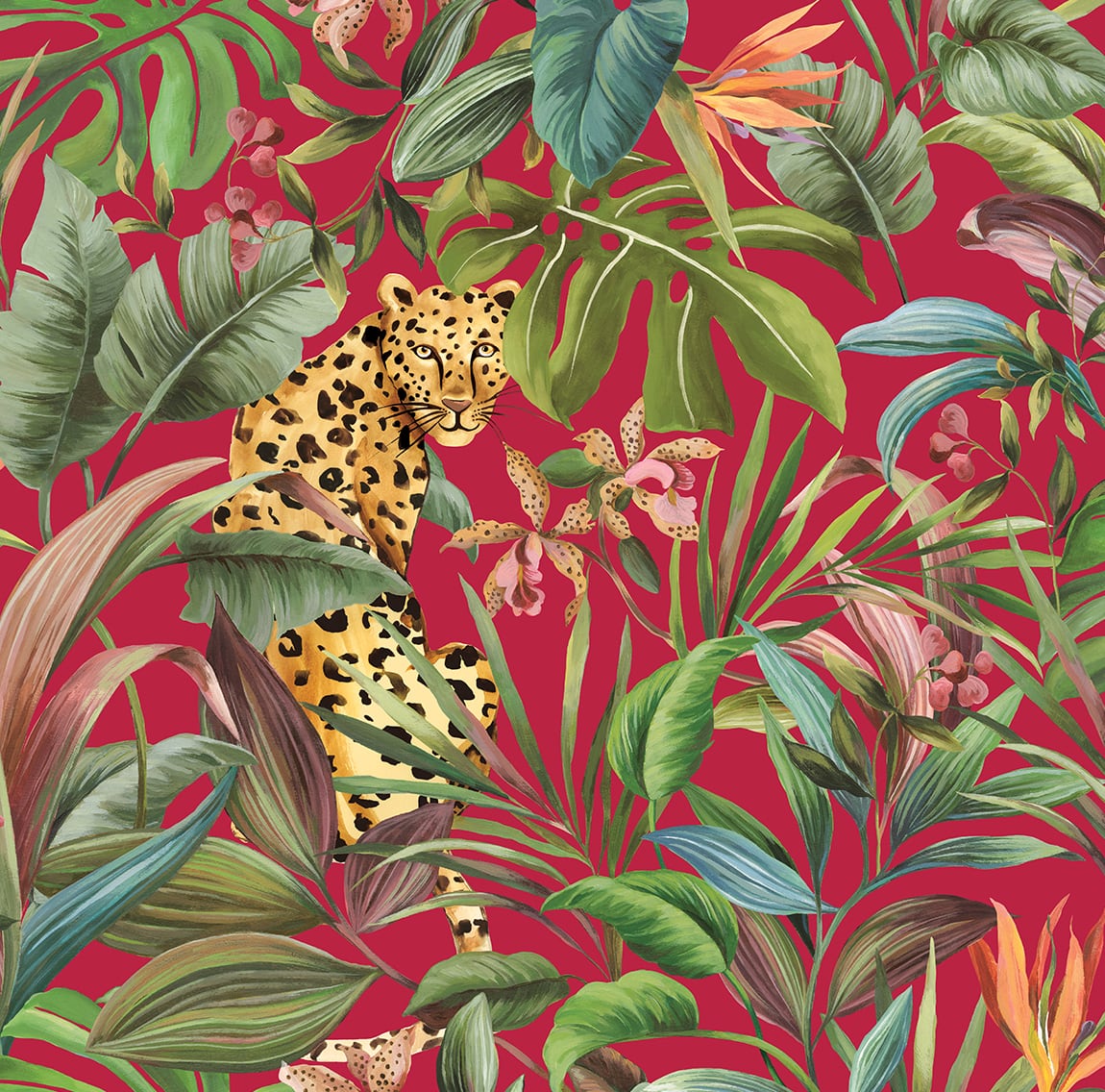 Tropical-Leopard--Daisy-Bennett-Peel-and-Stick-DB20101