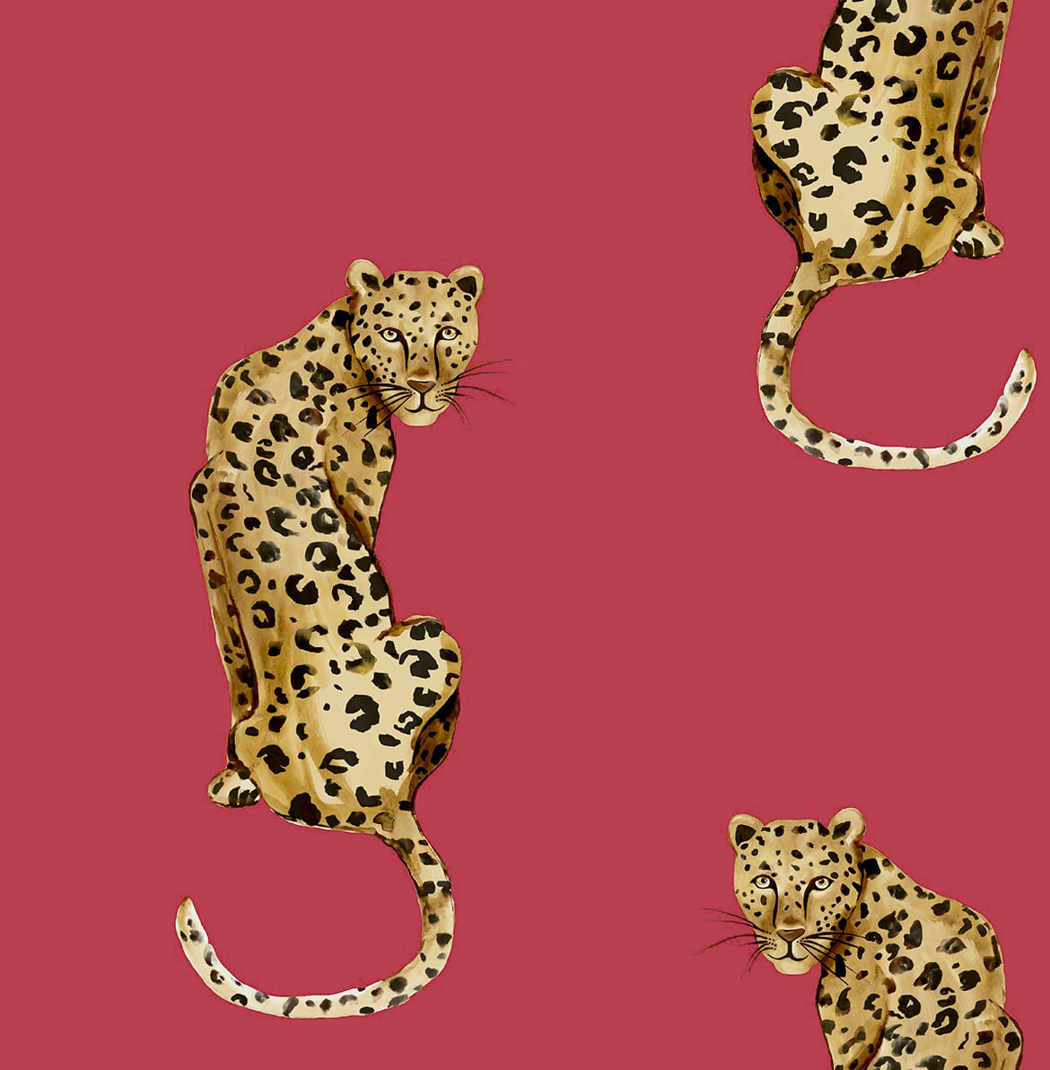 Leopard-King-Daisy-Bennett-Peel-and-Stick-DB20201