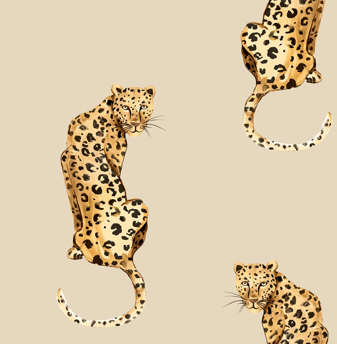 Leopard-King-Daisy-Bennett-Peel-and-Stick-DB20205