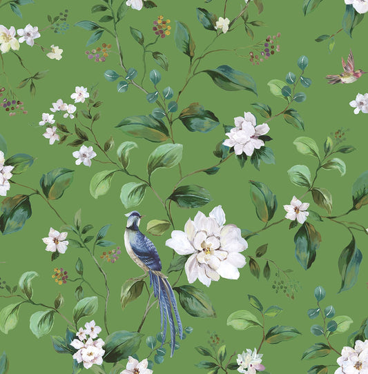 Daisy Bennett Designs  Chinoiserie Bird Vine Chinoiserie Transitional Green   - DB20804