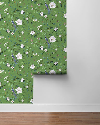 Daisy Bennett Designs  Chinoiserie Bird Vine Chinoiserie Transitional Green   - DB20804