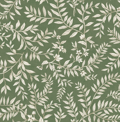 Daisy Bennett Designs  Vining Leaf Trail Botanical Transitional Green   - DB20904