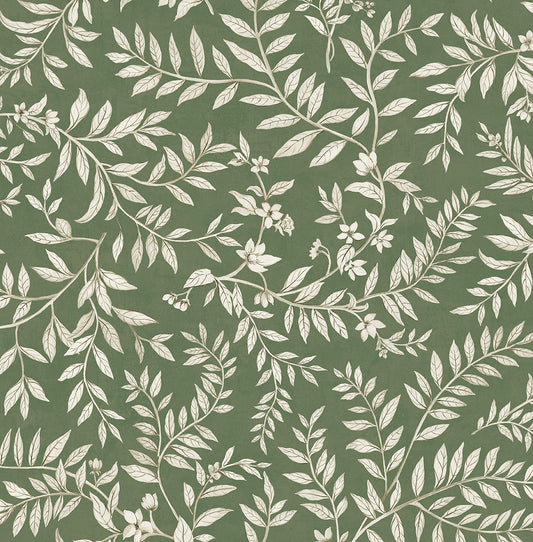 Daisy Bennett Designs  Vining Leaf Trail Botanical Transitional Green   - DB20904