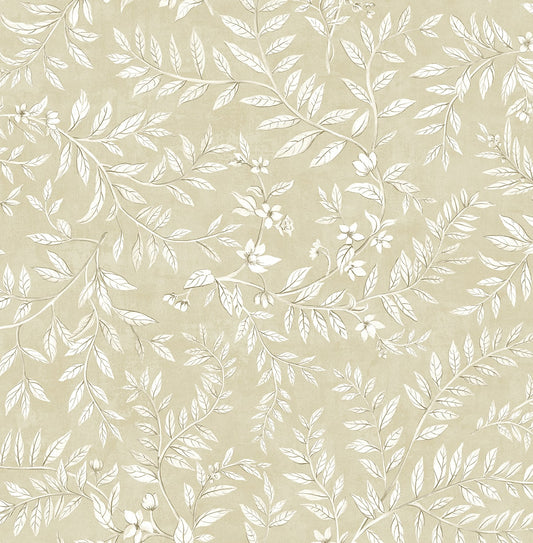 Daisy Bennett Designs  Vining Leaf Trail Botanical Transitional Beige   - DB20905