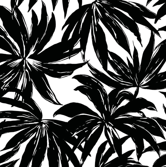 Daisy Bennett Designs West Boulevard Collection Palma Botanical Coastal Black Matte Sidewall - DBW9111