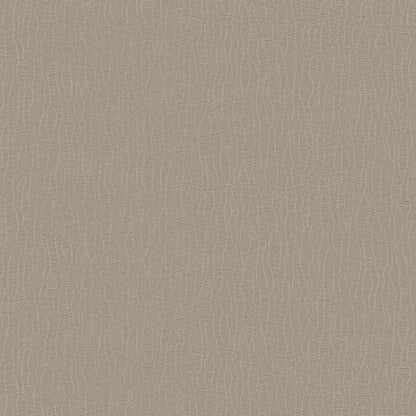Galerie Wallcoverings  Designer Colours  Abstract Lines   Beige Shimmer  - DC30043