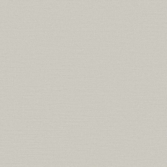 Galerie Wallcoverings  Designer Colours  Abstract Texture   Beige   - DC30099