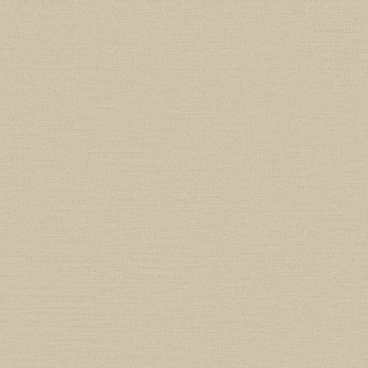 Galerie Wallcoverings  Designer Colours  Abstract Texture   Beige   - DC30117