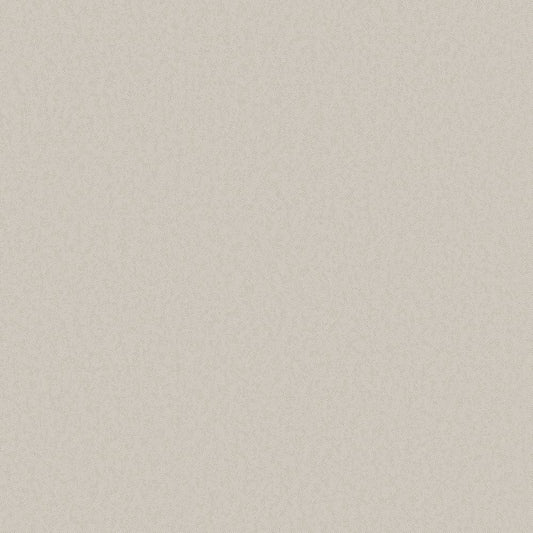 Galerie Wallcoverings  Designer Colours  Even Texture   Beige Glitter  - DC30134