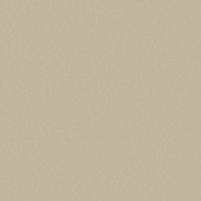 Galerie Wallcoverings  Designer Colours  Close Texture   Beige   - DC30143