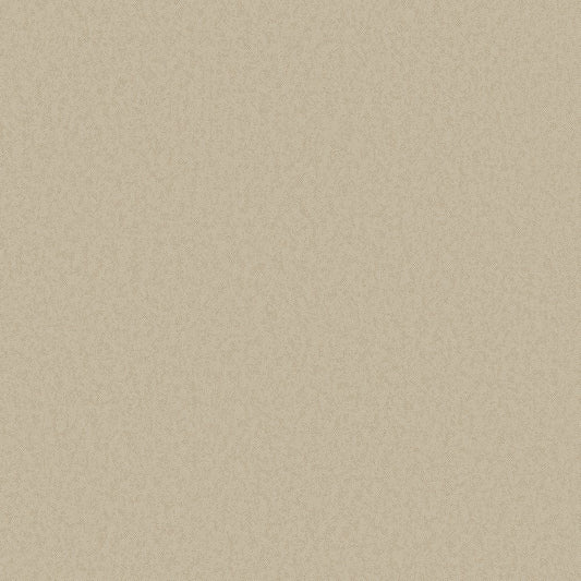 Galerie Wallcoverings  Designer Colours  Close Texture   Beige   - DC30143