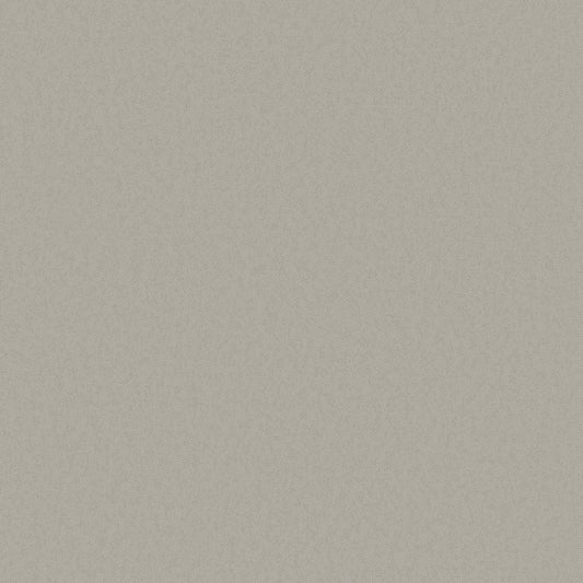 Galerie Wallcoverings  Designer Colours  Close Texture   Beige   - DC30144