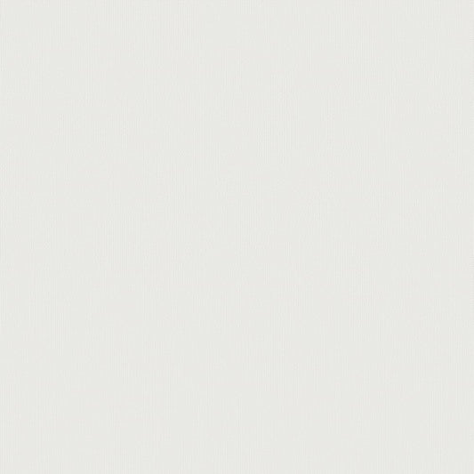 Galerie Wallcoverings  Designer Colours  Shimmer Stripe   White Shimmer  - DC30151