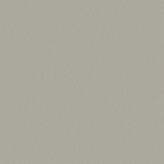 Galerie Wallcoverings  Designer Colours  Raised Texture   Silver Grey   - DC30154