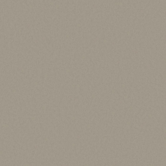 Galerie Wallcoverings  Designer Colours  Raised Texture   Silver Grey   - DC30155