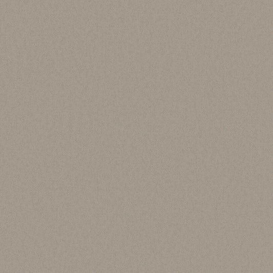 Galerie Wallcoverings  Designer Colours  Raised Texture   Beige Shimmer  - DC30156