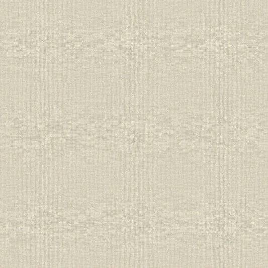 Galerie Wallcoverings  Designer Colours  Horizontal Texture   Beige Shimmer  - DC30182