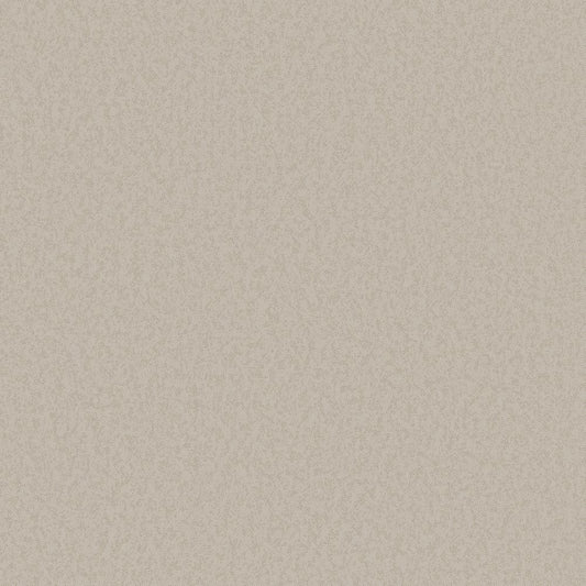 Galerie Wallcoverings  Designer Colours  Fine Texture   Beige   - DC30241