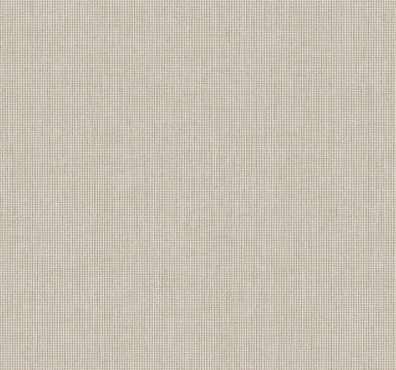 Collins & Company Deco 2 Queens Weave Weave Contemporary Grey Matte Sidewall - DC61008