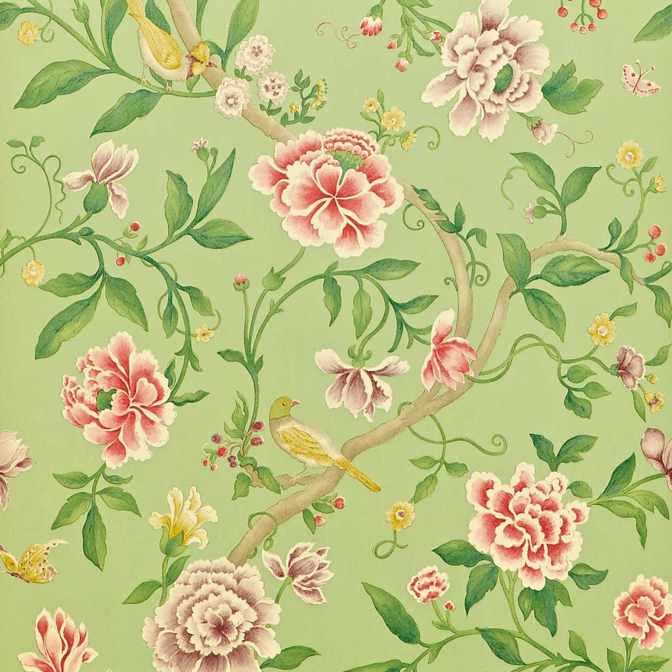 SANDERSON Porcelain Garden Wallpaper Leaves , Trees Rose, Fennel  Gravure Printed Wallpaper - DCAVPO101