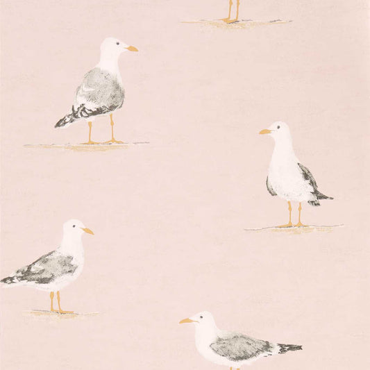 SANDERSON Shore Birds  Wallpaper Birds Blush  Gravure Printed Wallpaper - DCOA216562