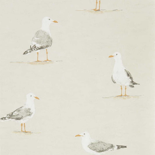 SANDERSON Shore Birds  Wallpaper Birds Driftwood  Gravure Printed Wallpaper - DCOA216563