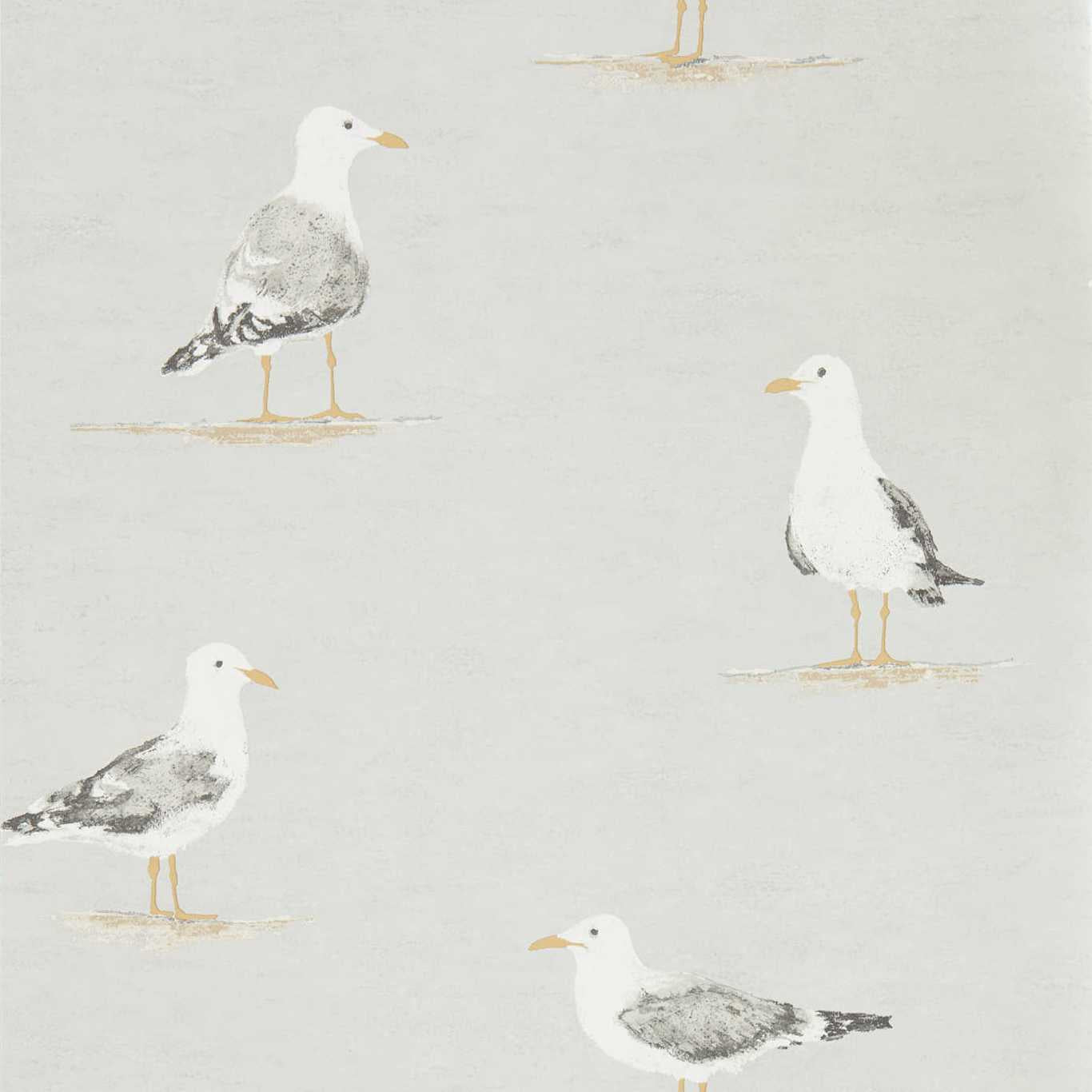 SANDERSON Shore Birds  Wallpaper Birds Gull  Gravure Printed Wallpaper - DCOA216565