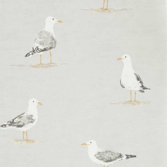 SANDERSON Shore Birds  Wallpaper Birds Gull  Gravure Printed Wallpaper - DCOA216565