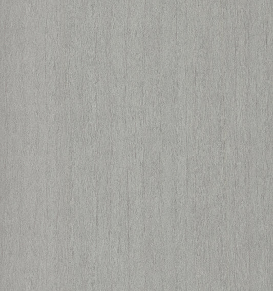 York Wallcoverings Antonina Vella Dazzling Dimensions Volume II Natural Texture Grey Wallpaper  Textures Greys   - DD3722