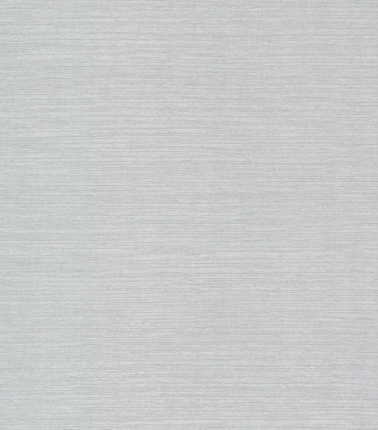 York Wallcoverings Blues II Shining Sisal Silver Metallic Wallpaper  Metallics Metallics   - DD3731