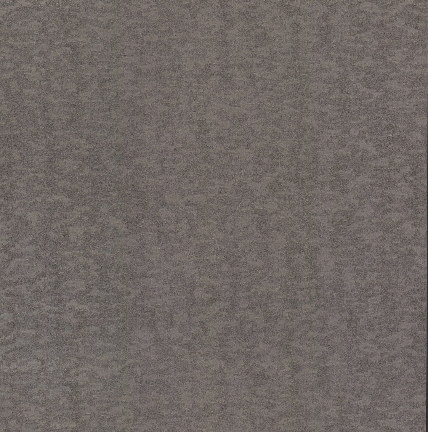 York Wallcoverings Antonina Vella Dazzling Dimensions Volume II Weathered Cypress Silver Wallpaper  Textures Greys   - DD3751