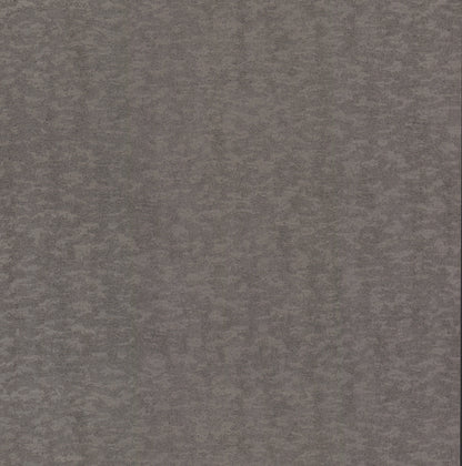 York Wallcoverings Antonina Vella Dazzling Dimensions Volume II Weathered Cypress Silver Wallpaper  Textures Greys   - DD3751