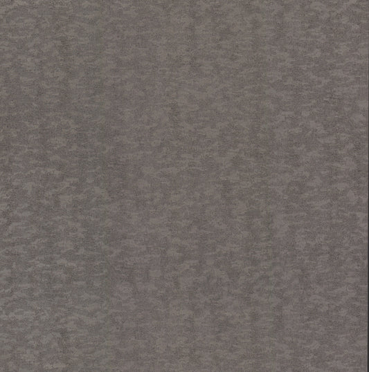 York Wallcoverings Antonina Vella Dazzling Dimensions Volume II Weathered Cypress Silver Wallpaper  Textures Greys   - DD3751