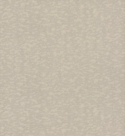 York Wallcoverings Antonina Vella Dazzling Dimensions Volume II Weathered Cypress Taupe Wallpaper  Textures Neutrals   - DD3752