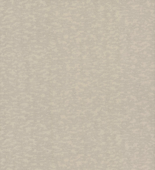York Wallcoverings Antonina Vella Dazzling Dimensions Volume II Weathered Cypress Taupe Wallpaper  Textures Neutrals   - DD3752