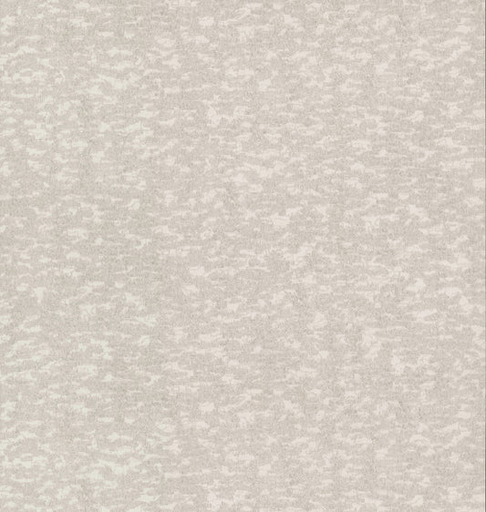 York Wallcoverings Antonina Vella Dazzling Dimensions Volume II Weathered Cypress White Wallpaper  Textures Whites and Off-Whites   - DD3754