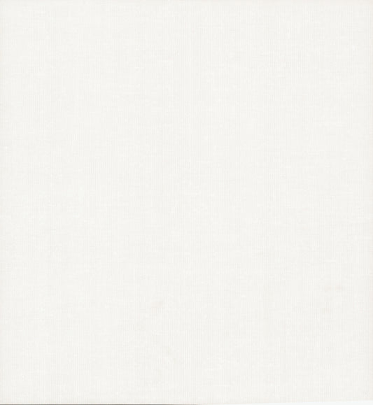 York Wallcoverings Antonina Vella Dazzling Dimensions Volume II Gossamer Woven White Wallpaper  Weaves Whites and Off-Whites   - DD3771
