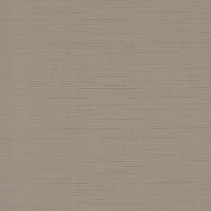 York Wallcoverings Antonina Vella Dazzling Dimensions Volume II Ribbon Bamboo Silver Metallic Wallpaper  Metallics Metallics   - DD3832