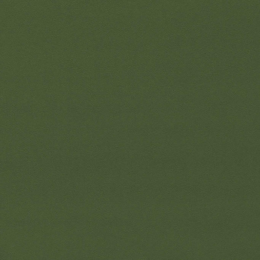 SANDERSON Dorton Fabric Plains , Textures Cactus   - DDVC236998