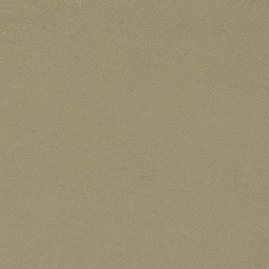 SANDERSON Dorton Fabric Plains , Textures Oatmeal   - DDVC237002
