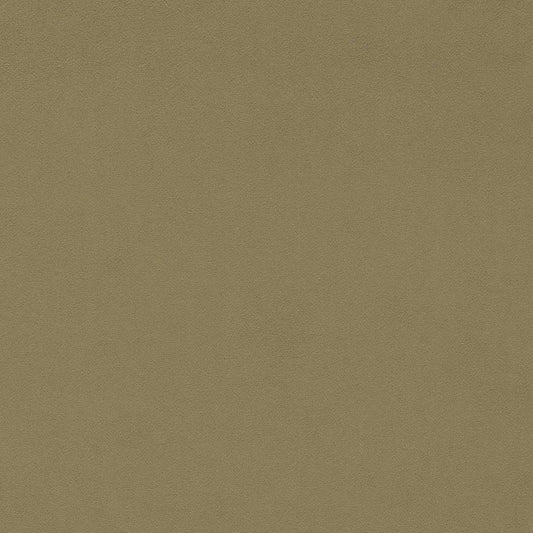 SANDERSON Dorton Fabric Plains , Textures Putty   - DDVC237007