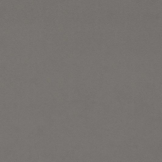 SANDERSON Dorton Fabric Plains , Textures Tawny   - DDVC237008