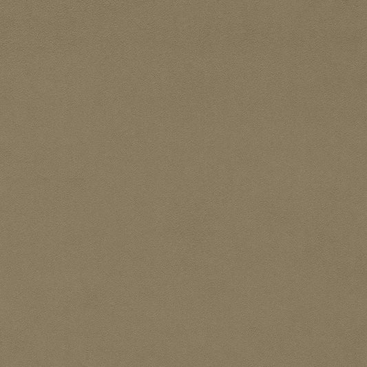 SANDERSON Dorton Fabric Plains , Textures Pumice   - DDVC237009