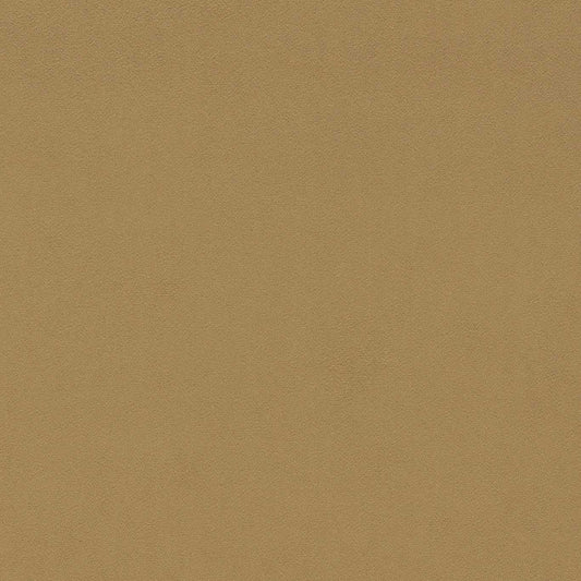 SANDERSON Dorton Fabric Plains , Textures Hay   - DDVC237012