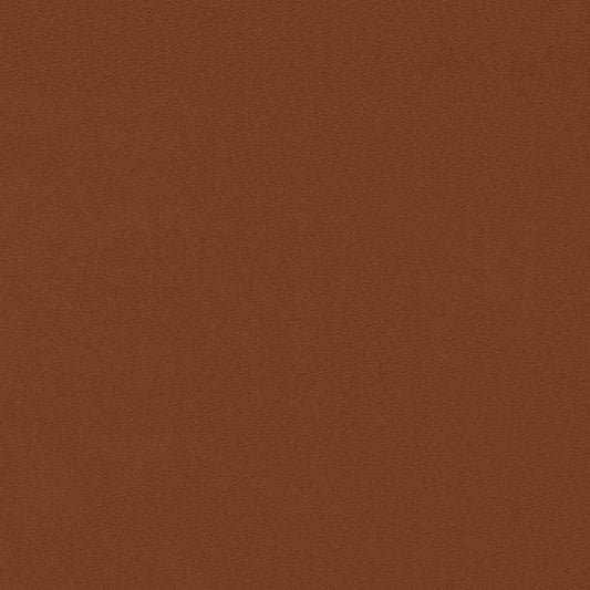 SANDERSON Dorton Fabric Plains , Textures Autumn   - DDVC237021