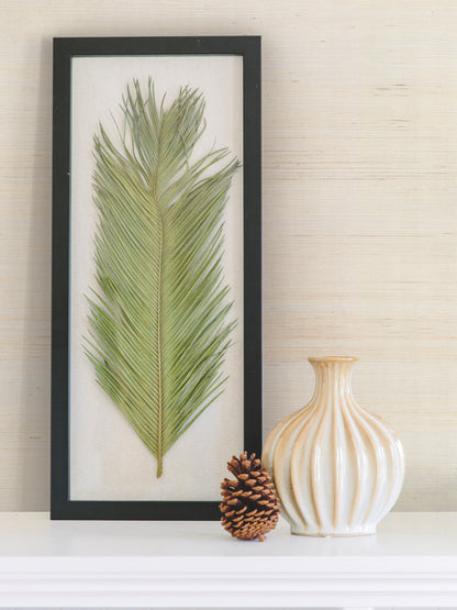 York Wallcoverings Designer Sisals Fan Deck Impression Silver and White Wallpaper  Grasscloth Whites and Off-Whites   - DE8995